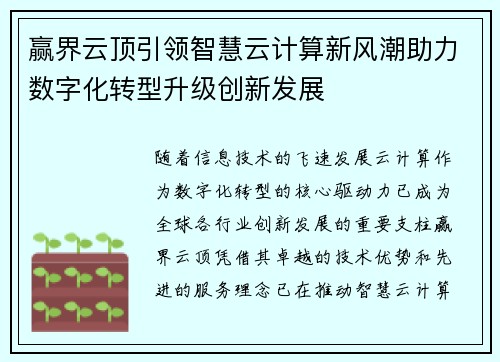 赢界云顶引领智慧云计算新风潮助力数字化转型升级创新发展